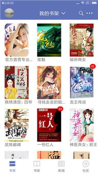 安卓系统有石头阅读吗,石头阅读功能深度解析