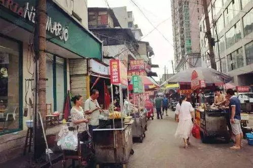 南门口攻略系统和安卓,安卓系统下的畅游指南