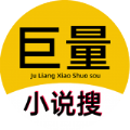 巨量小说搜手机版 